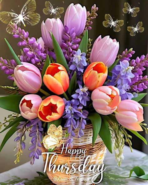 Happy Thursday Tulips quotes days thursday thursday quotes happy thursday happy thursday quotes Happy Thursday Images Beautiful, Tulips Pictures, Tulips Quotes, Happy Thursday Morning, Happy Thursday Images, Thursday Images, Thursday Greetings, Good Morning Happy Thursday, Happy Thursday Quotes