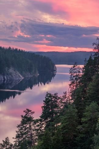 size: 12x8in Photo: Scenic forest and lake landscape with tranquil mood and colourful sunset at summer morning in Finla : Pretty Sky Pictures, Solstice Traditions, Winter Solstice Traditions, Forest And Lake, Colourful Sunset, Best Nature Photos, Pretty Sunsets, Travel Creative, Summer Tan