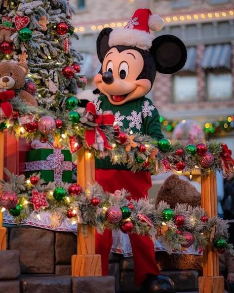 Magical Photos, Christmas Extravaganza, Christmas Wallpaper Hd, Disneyland Holidays, Mickey Mouse Wallpaper Iphone, Park Aesthetic, Mickey Mouse Images, Walter Elias Disney, Disney World Christmas