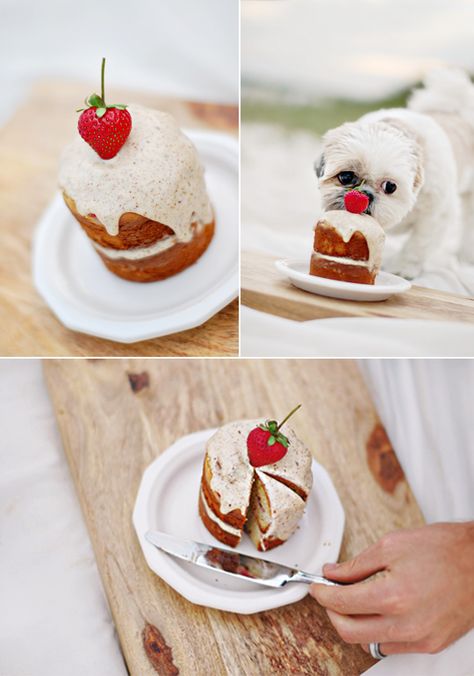 Pretty Fluffy Homemade Dog Cake, Dog Birthday Cake Recipe, Dog Cake Recipes, Cake Dog, Dog Birthday Cake, Puppy Treats, Dog Cakes, Birthday Cake Recipe, Dog Cake