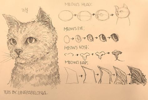 How to Draw Car in 3/4 View! 3/4 View, How To Draw A Cat, Cool Sketchbook Ideas, How To Draw Realistic, Shadow Drawing, Cats Art Drawing, Realistic Sketch, Drawing Tutorial Face, Lips Drawing