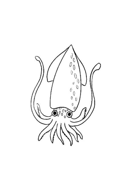 Squid Cute Printable Squid Coloring Page, Squid Drawing Simple, Squid Game Tattoo, Squid Sketch, Squid Doodle, Sourdough Art, Squid Illustration, Coloring Pictures Of Animals, Squid Drawing