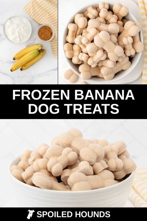 Frozen Dog Treats Homemade Peanut Butter Yogurt Banana, Probiotic Frozen Yogurt Dog Treats, Dog Cold Treats, Puppy Treats Homemade Frozen, Frozen Banana Dog Treats, Frozen Pet Treats, Frozen Dog Enrichment, Frozen Enrichment Treats For Dogs, Puppy Popsicles Frozen Dog Treats