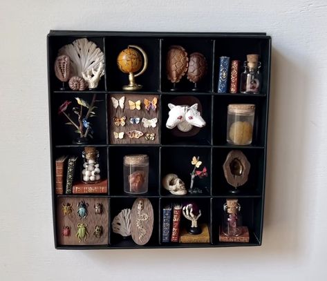 Diy Curio Cabinet, Witches Shelf, Curiosities Cabinet, New Witches, Assemblage Art Mixed Media, Oddities Collection, Mini Cabinet, Cabinet Of Curiosity, Mini Diy