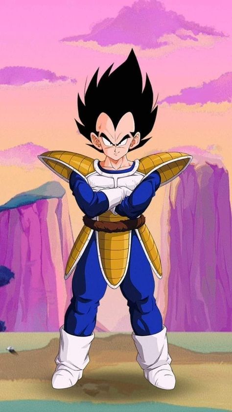 Vegeta Wallpapers, Vegeta Wallpaper, Vegeta Art, Dragon Ball Super Vegeta, Buu Dbz, Vegeta Dragon Ball Z, Vegeta Dbz, Vegeta Anime, Dragon Ball Vegeta