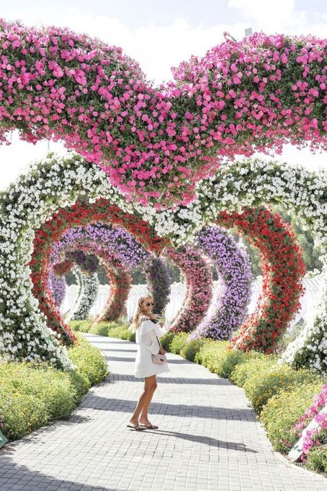 Rose Flower Garden Ideas Miracle Garden, Leonie Hanne, Tunnel Of Love, Flower Garden Design, Homestead Survival, Dubai Travel, Busan, Fashion Outfit, Beautiful World