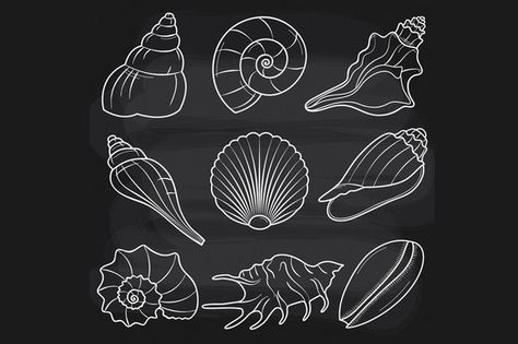 Chalkboard Seashells by LoveGraphicDesign on Creative Market Doodle Ocean, Chalkboards Ideas, Beach Clip Art, Chalkboard Clipart, Summer Chalkboard, Blackboard Art, Beach Clipart, Chalk Wall