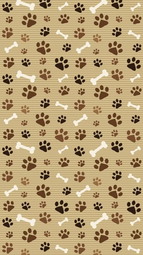 Dog Background Wallpapers, Dog Paws Wallpaper, Dog Paw Wallpaper, Paws Wallpaper, Paw Print Wallpaper, Paw Print Background, Paw Background, Paw Wallpaper, Dog Background