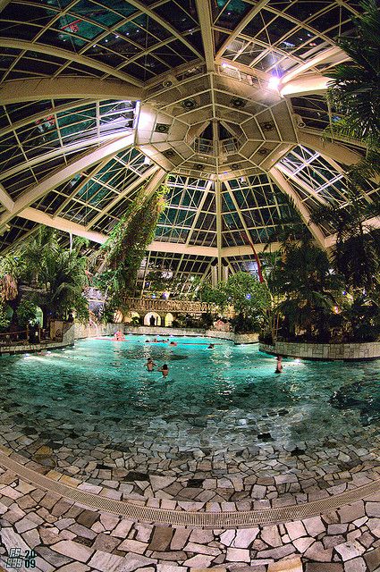 Greenhouse Dome, Dome Greenhouse, Piscina Interior, Indoor Swimming Pool, Christmas Bathroom, Luxury Pools, Dream Pools, Indoor Swimming, Pool Design