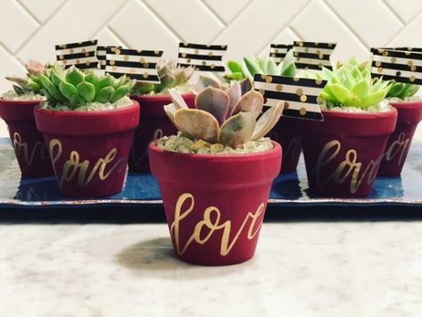 If you are looking for a fun idea for girls' night out, consider hosting or attending a party by The Succulent Bar, where you will create your own potted succulent. Succulent Bar, Succulent Wedding Favors, Succulent Wedding, Fun Family Activities, Outside The Box, Thinking Outside The Box, Succulent Pots, Girls Night Out, Girls Night