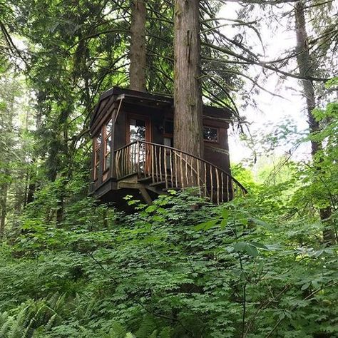 Good morning, treehouse lovers! It’s going to be a beautiful day! 💚 . #treehouse #treehouses #beinatree #sleepinatree #treehousepoint #treehousemasters #nelsontreehouse #petenelson #treehousegoals #treehousepoint #treehousemasters #getaway #staycation #forest #lush #nature #greenery #getbacktonature #tinyspaces #beinatreehouse #bonbibi #bonbibitreehouse Wedding Venues Washington State, Treehouse Wedding, Treehouse Point, Washington Wedding Venues, Wedding Guest Outfit Winter, Pastel Wedding Flowers, Sunflower Wedding Bouquet, Bridal Shower Centerpieces, Washington Weddings