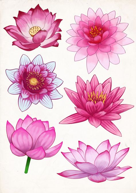 Decorazioni Flower Studies, Lotus Flower Drawing, Pink Lotus Flower, Mandala Lotus, Lotus Flower Mandala, Lotus Flower Art, Lotus Painting, Lotus Art, Flower Sketches