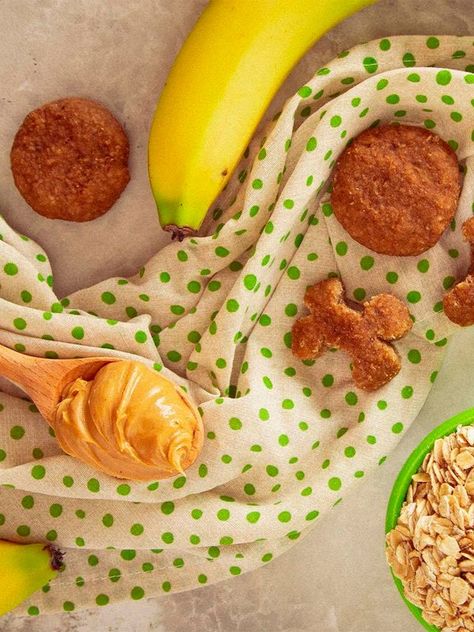 High-Fiber Dog Treats Recipe Because Dogs Need Fiber Too Diy High Fiber Dog Treats, Fiber Dog Treats, High Fiber Dog Treats Recipe, Dog Treats Recipe, Easy Dog Treat Recipes, Healthy Fiber, Easy Dog Treats, Healthy Dog Treats Homemade, Doggie Treats