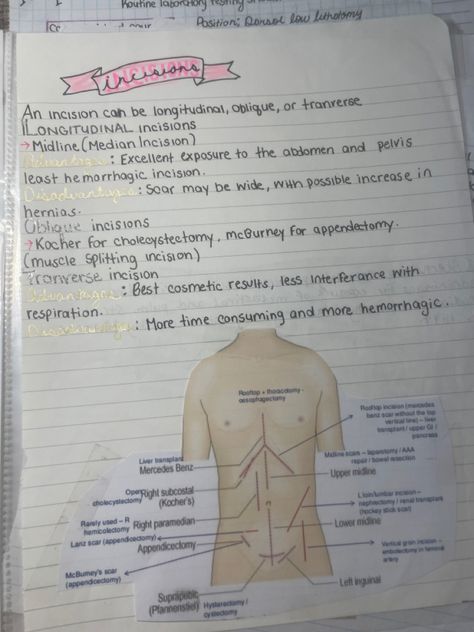 Surgical Technologist Student Aesthetic, Surgical Tech Notes, Surgical Incisions, Technology Notes, Surgical Technologist Student, Technology Student, Surg Tech, Medical Terminology Study, Nursing Skills