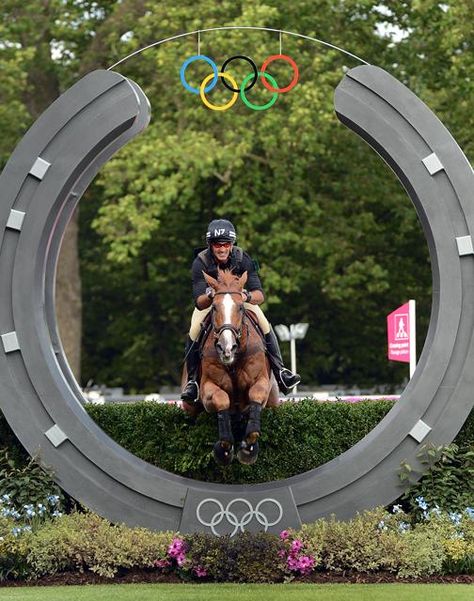 Olympic Horses, Eventing Cross Country, Cross Country Jumps, Show Jumping Horses, Horse Trials, Equestrian Aesthetic, Eventing Horses, Brown Horse, Sport Horse