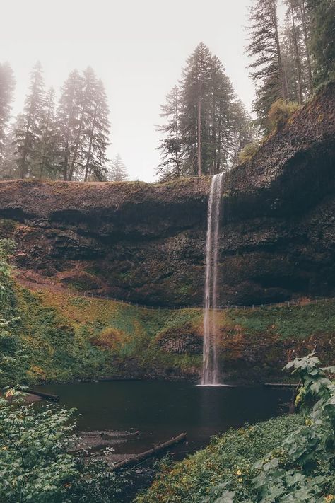 Ultimate PNW Bucket List | Wandering Washingtonian Tom Core, Pacific Northwest Summer, Forest Themed Baby Shower, Pacific Northwest Aesthetic, Pnw Photography, Washington Nature, Pnw Aesthetic, Running With The Wolves, Vision Book