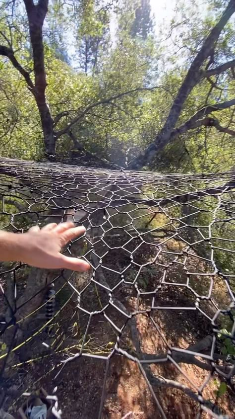 Party in the tree! Great project from last summer #spacenet #treenet #climb #art #treehouse #web #spiderweb #asmr #avitar #rope #adventure… | Instagram Rope Tree House, Tree Net Hangout, Tree Webbing, Tree Weaving, Tree Net, Therian Wolf, Indoor Forts, Summer Hangout, How To Make Trees