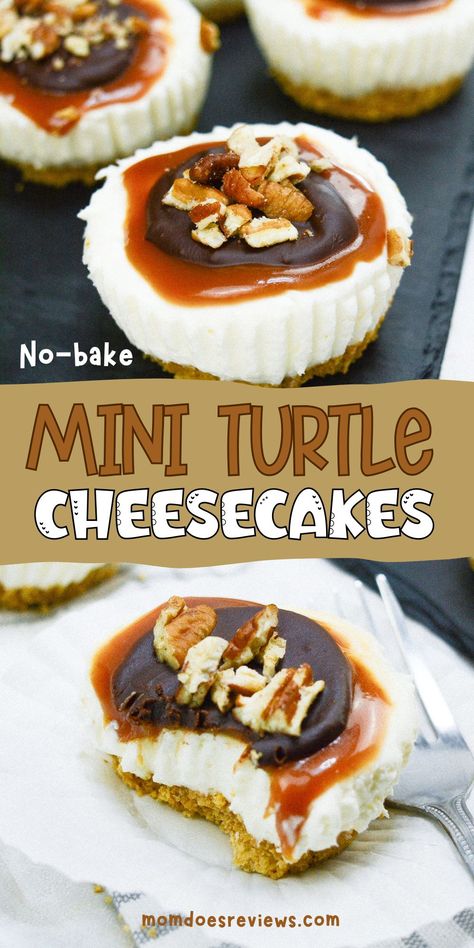 Mini Cheesecake Recipes No Bake, Mini Turtle Cheesecake, No Bake Cheesecake Desserts, No Bake Turtle Cheesecake, Mini No Bake Cheesecake, Cheesecake Cups Recipe, Turtle Cheesecake Recipes, Frozen Strawberry Daiquiri, Mini Cheesecakes Easy