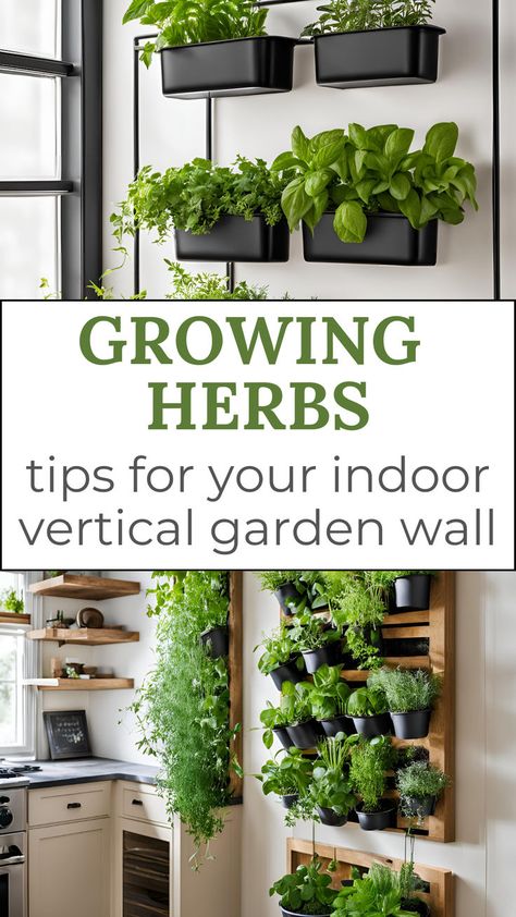 Growing Herbs - Tips for Your Indoor Vertical Garden Wall. Images of vertical herb gardens. Indoor Herb Garden Wall Kitchens, Winter Herbs Indoor, Fresh Herb Wall Kitchen, Kitchen With Herb Garden, Dining Room Herb Garden, Hydroponic Wall Indoor, Indoor Herb Garden Ideas Diy, Indoor Herbal Garden Ideas, Food Plants To Grow Indoors