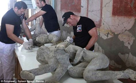 The two embracing 'maidens' of Pompeii are both MEN Pompeii Bodies, Shell Meaning, Pompeii Italy, Family Tree Project, Lovers Embrace, Genealogy Book, Pompeii And Herculaneum, Volcanic Eruption, Roman City