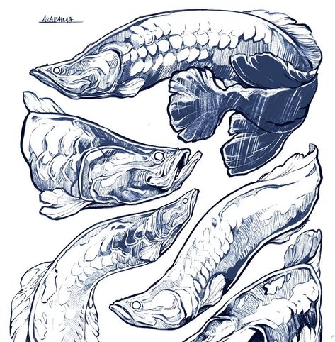 Aquarium Art Drawing, Sorie Kim Art, Arowana Drawing, Aquarium Sketch Art, Fish Sketchbook, Daily Drawing Exercises, Carp Illustration, Sorie Kim, Sketchbook Tattoo