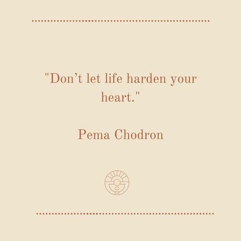 Life Reflection Quotes, Pema Chodron Quotes, Life Reflection, Pema Chödrön, Pema Chodron, Good Mother, Joy Quotes, Bag Quotes, Reflection Quotes