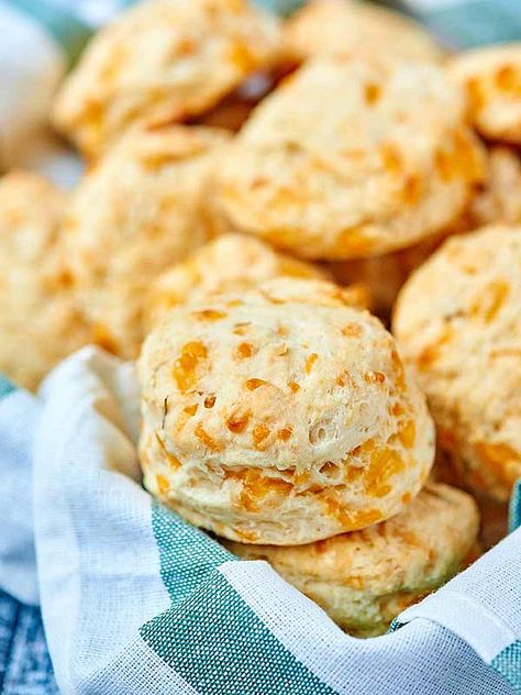 These roasted garlic cheddar beer biscuits are easy to make and totally sinful… Garlic Beer Bread, Beer Biscuits, Garlic Cheese Biscuits, Bread Biscuits, Garlic Cheddar, Nice Recipes, Garlic Cheese, Cheese Biscuits, Beer Bread