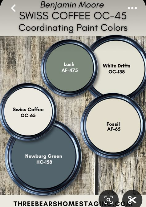 House Theme Colors, Earthy Color Palette For Home, Vintage Room Color Schemes, Cozy Cabin Paint Colors, Rustic Walls Paint, Basement Color Schemes Sherwin Williams, French Farmhouse Color Palette, Rustic Wall Colors, House Paint Colors Interior