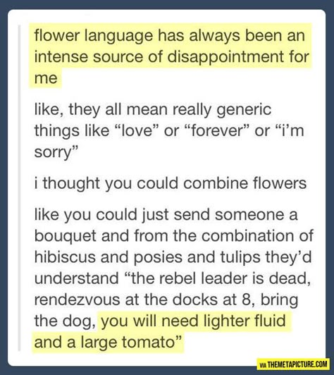 Secret Organization, Story Prompt, Flower Language, Morse Code, The Text, What’s Going On, Laughing So Hard, Writing Inspiration, Tumblr Funny