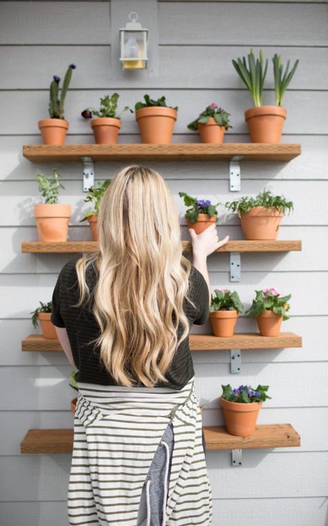 DIY Plant shelving wall // succulents plant wall / outdoor plant shelves // jess oakes // positively oakes Plant Wall Outdoor, Outdoor Plant Shelves, Wall Succulents, Plant Shelving, Outdoor Shelf, Growing Ginger Indoors, Plant Wall Diy, Shelving Wall, Indoor Plant Shelves