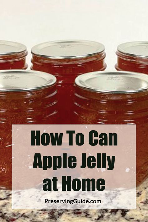 Discover the ultimate guide to making and canning your own delicious apple jelly at home! This step-by-step tutorial will walk you through the entire process, ensuring you end up with perfect, crystal-clear jars of sweet apple goodness. Ideal for beginners and seasoned canners alike, this recipe guarantees delightful results every time. Visit PreservingGuide.com for more tips and recipes. #AppleJelly #CanningRecipes #HomemadePreserves #HomeCanning #PreservingGuide Apple Jelly Recipe Canning, Apple Jelly Recipe, Canned Salsa, Canning Jams, Canned Salsa Recipes, Salsa Canning Recipes, Homemade Bruschetta, Canning Apples, Watermelon Jelly