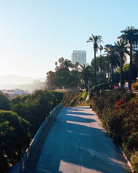 The entrance to the Pacific Coast Highway in Santa Monica, California. This photo was taken on 35mm film and hand-developed by myself in my kitchen. I've done my best to remove any artifacts from the digital scan but some spots, streaks, and cat hair may remain. This photo has an aspect ratio of 4:5 (8x10) for printing. Santa Monica California, Pacific Coast Highway, California Love, City Of Angels, California Dreaming, Cat Hair, Photography Pictures, Pacific Coast, Aspect Ratio