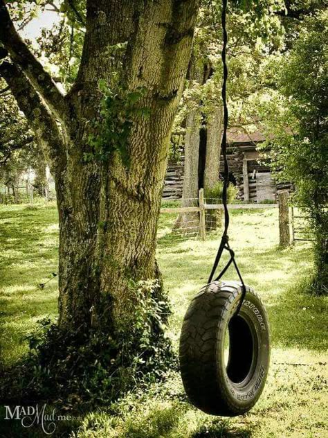 The old tire swing tree Tree Swings, Tire Swings, Backyard Hammock, Backyard Swings, Backyard House, Tire Swing, Old Tires, Country Scenes, Farms Living