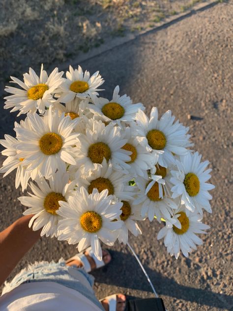 Daisy Field, Boquette Flowers, Nothing But Flowers, Flower Therapy, Beautiful Bouquet Of Flowers, Spring Aesthetic, Flower Petal, Spring Vibes, Beautiful Bouquet