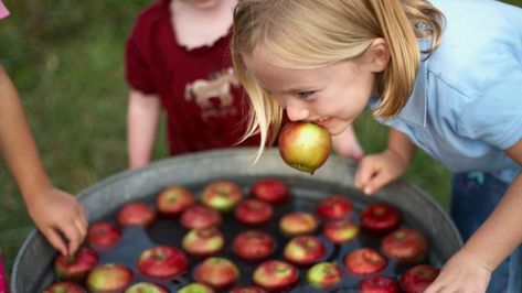 Bob For Apples, Apple Bobbing, Fall Party Games, Pumpkin Carving Tools, Origin Of Halloween, Bobbing For Apples, Apples To Apples Game, Halloween Traditions, Harvest Party