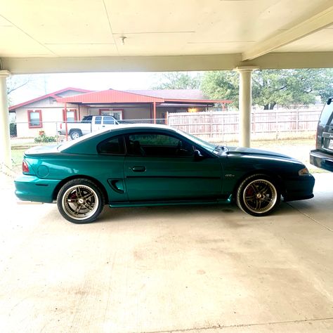 96 Mustang, 2000 Mustang, Green Mustang, Sn95 Mustang, Pacific Green, Pretty Cars, Mustang Gt, Bmw M5, Dream Cars