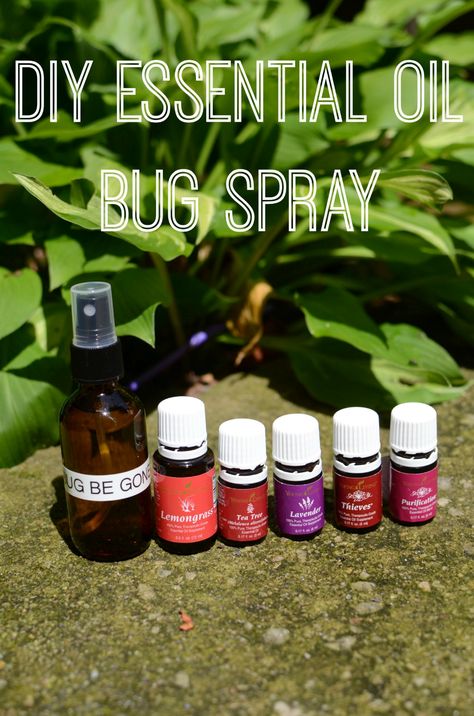 Essential Oil Bug Spray Recipe, Peppermint Doterra, Mosquito Repellent Essential Oils, Essential Oil Bug Spray, Purification Essential Oil, Lice Prevention, Hiking Safety, Diy Bug Spray, Bug Spray Recipe