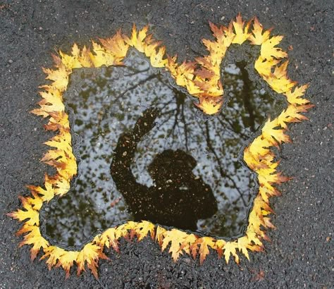 Landart Ideas, Land Art Ideas, Natural World Art, Art In Nature, Ephemeral Art, Andy Goldsworthy, Earth Art, Nature Activities, Nature Crafts