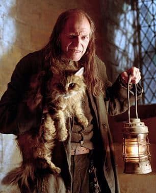 The Untold Story Behind The Hogwarts Cat Harry Potter Fan Theories, Harry Potter Personality Quiz, Harry Potter Personality, Walburga Black, Film Harry Potter, Harry Potter Quiz, Cho Chang, Harry Potter Games, Austin Powers