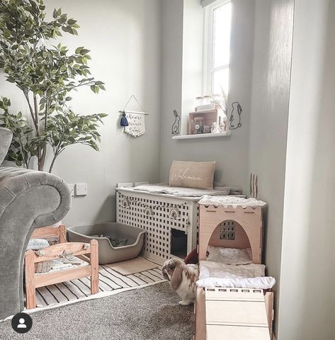 Bunny Pet Bed, Bunny Living Room Indoor Rabbit, Rabbit Living Room, Rabbit In Bedroom, Freeroam Bunny Setup, Rabbit Free Roam, Bunny Free Roam, Rabbit Room Ideas, Bunny Habitat Indoor