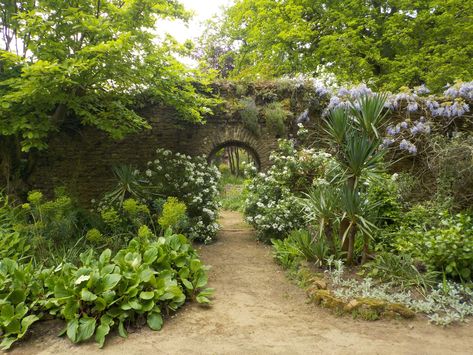 Gertrude Jekyll Garden, Gertrude Jekyll Garden Design, Garden Reference, Munstead Wood, British Gardens, Gertrude Jekyll, Texas Garden, Woodland Gardens, Clematis Montana