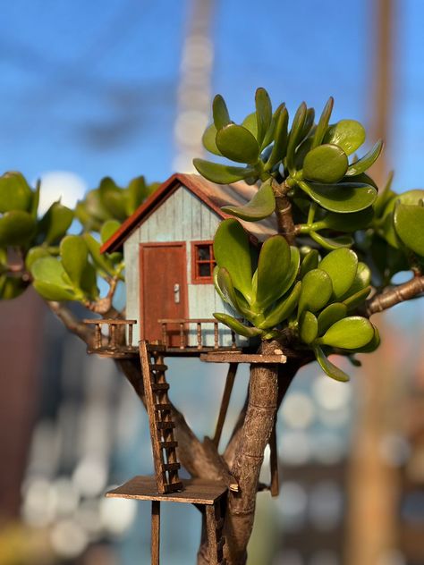 Tiny Tree House For Plants, Mini Treehouse, Popsicle Stick Crafts House, Popsicle Stick Houses, Fairy Tree Houses, Fairy Garden Plants, Bird Houses Ideas Diy, Beautiful Terrariums, Dollhouse Tutorials