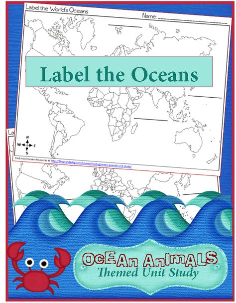 We have spent the last few months learning so much about some Ocean Animals, but what about the places these animals call home?  These geography: label the world’s oceans worksheets can be used while learning about the oceans. As we have learned about ocean animals, we have heard a few ocean names.  These printables will […] Oceans Worksheet, Ocean Printables, Ocean Names, Montessori Geography, Ocean Unit, Continents And Oceans, Teaching Geography, Homeschool Geography, Homeschool Social Studies