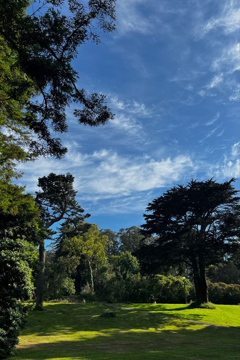 park, Golden Gate Park, park aesthetic, California Golden Gate Park Aesthetic, Walking Paths, Golden Gate Park, Life Well Lived, California Dreaming, Northern California, San Francisco, The Outsiders, California