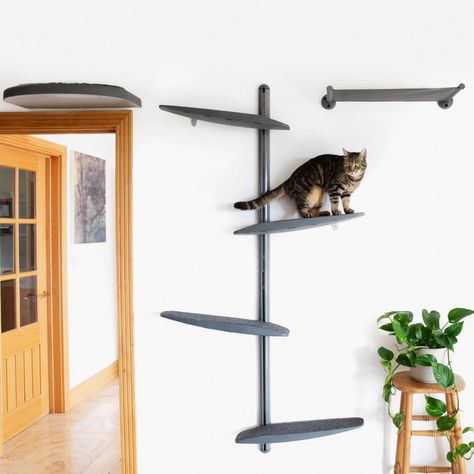 Modular Cat Furniture Bundles | Catipilla Selling Bundles, Cat Climber, Stair Ladder, Plate Shelves, Cat Shelf, Cat Wall Shelves, Modern Cat Furniture, Plasterboard Wall, Tree Cat