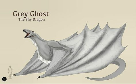 Grey Ghost Dragon, Ghost Dragon, Grey Ghost, Game Of Thrones Dragons, Shadow Dragon, Got Dragons, Fire And Blood, Targaryen Art, Gra O Tron