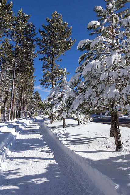 Walkway, South Lake Tahoe,  California  Lake Tahoe Vacation Rentals Beautiful views at Lake Tahoe. Luxury vacation rentals. Want to see the best places to stay? Go to: www.visit-eldorado.com ! Lake Tahoe Winter, Tahoe Winter, Lake Tahoe Vacation, Lakes In California, Tahoe California, Lake Tahoe California, Snow Trip, South Lake Tahoe, Winter Scenery