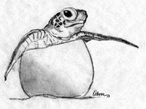 Art Sketches Turtle, Sea Turtle Sketch Simple, Sea Turtle Sketch, Turtle Sketches, Hatching Sea Turtle, Sea Turtle Hatching Tattoo, Turtle Ink Drawing, Turtle In Water Drawing, Sea Turtle Hatching