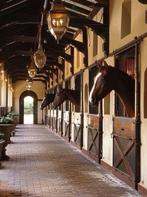 Horse Stables Design, Dream Barn Stables, Equestrian Barns, Equestrian Stables, Horse Barn Ideas Stables, Land Ownership, Horse Arena, Cape Dutch, Dream Horse Barns