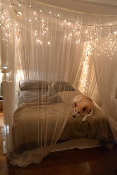 12 DIY Canopy Beds That Will Make Your Bedroom Feel Like a Dreamy Wonderland Christmas Lights In Bedroom, Canopy Bed Diy, Canopy Bed Curtains, Cool Room Decor, Bedroom Lights, Fairy Lights Bedroom, Decoration Lights, Diy Canopy, Bed Canopy